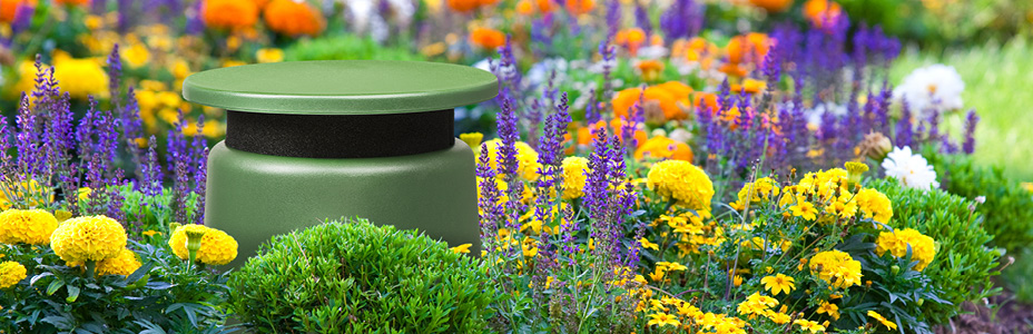 Outdoor Speakers